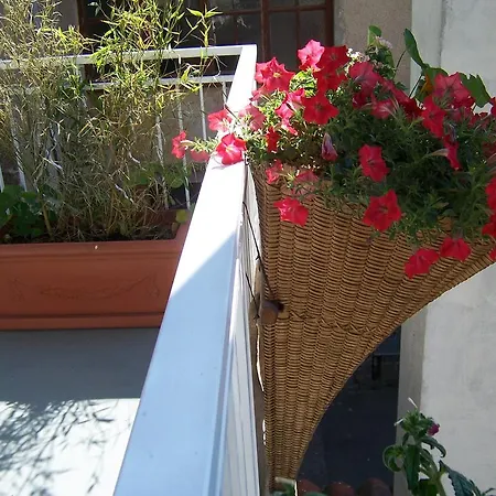 Le Gerle Bed & Breakfast Biella